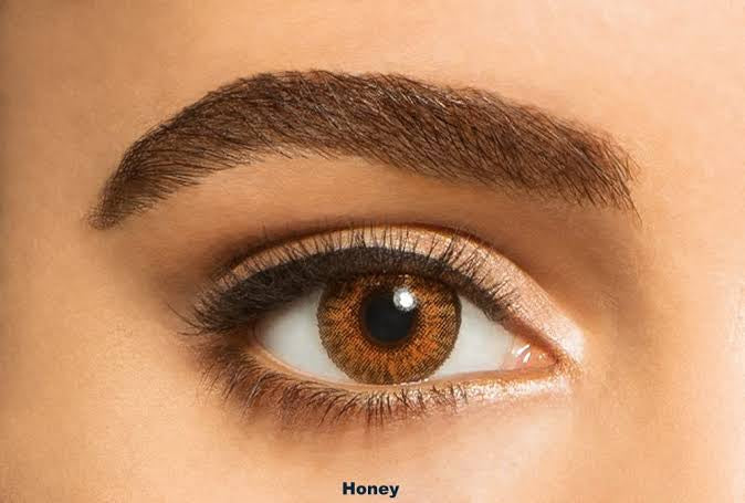 Freshlook | Honey